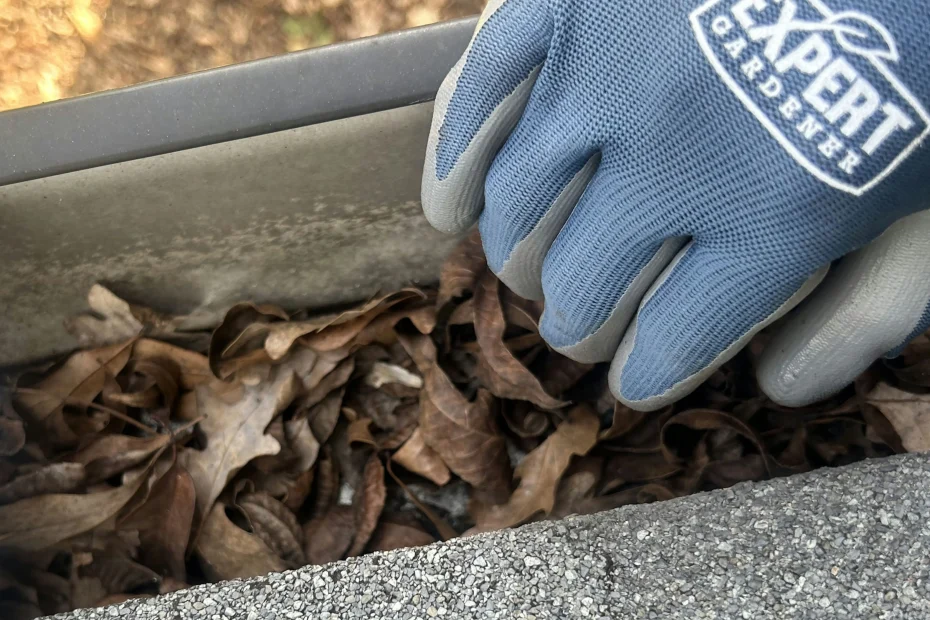 Gutter Cleaning Westerville